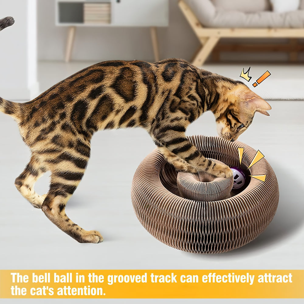 Cat toy ball track best sale